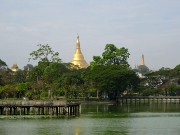 439  Shwedagon Pagoda.JPG